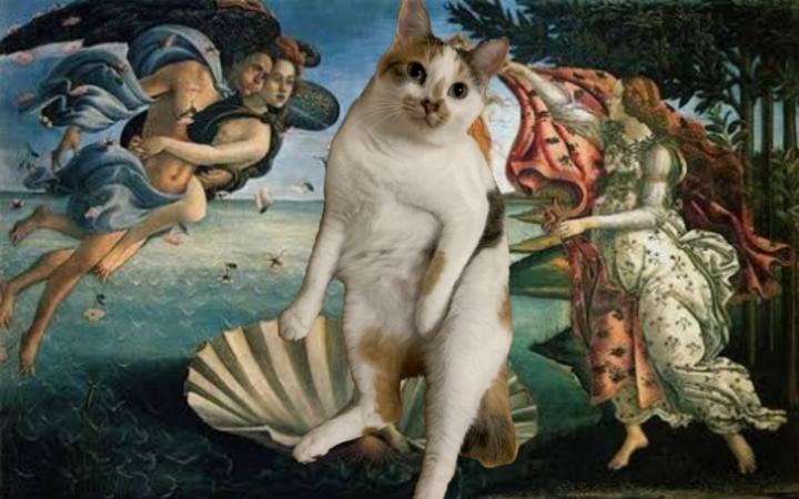 つむのビーナス - スナザメさんの猫日記