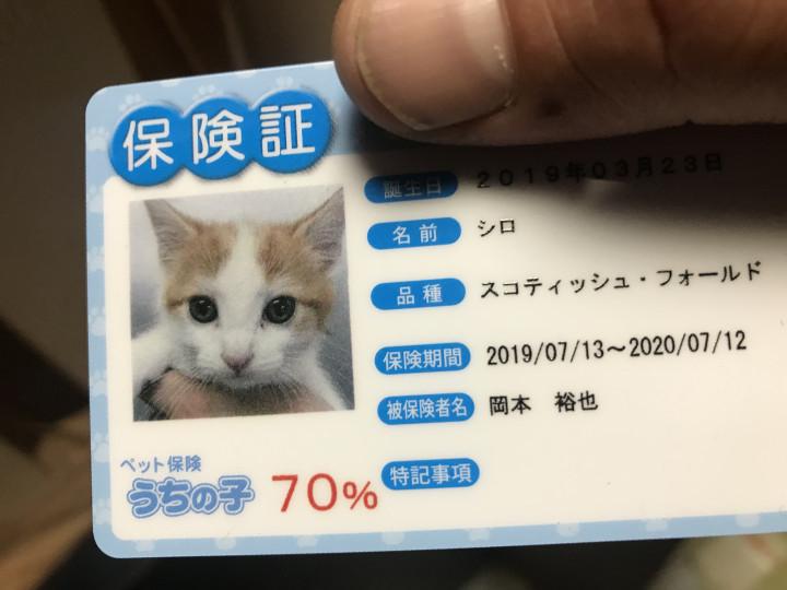 保険証 - シロちゃんパパさんの猫ブログ - ネコジルシ