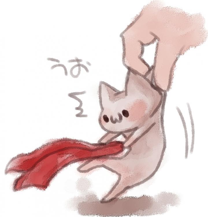 はじめまして しょむさんの猫ブログ ネコジルシ