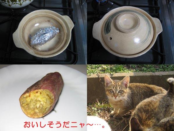 焼き芋しました 猫次郎さんの猫ブログ ネコジルシ