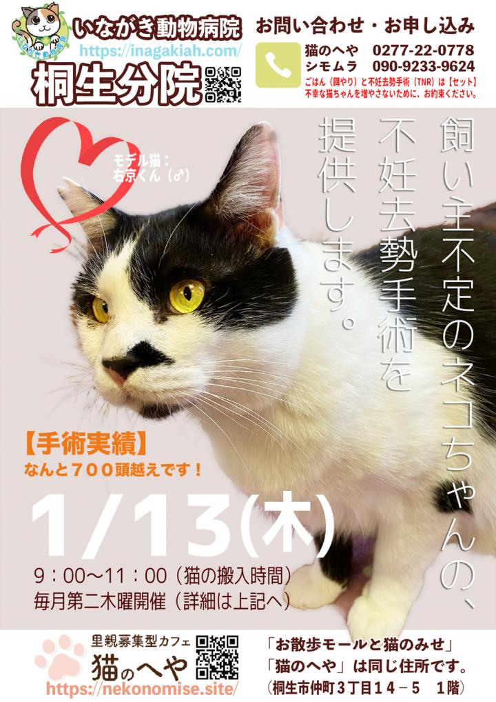 桐生分院 令和４年度１月分のポスターです 二葉ふたばさんの猫ブログ ネコジルシ