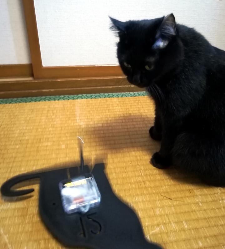 黒猫グッズ(ΦωΦ) - らっきゅんさんの猫日記