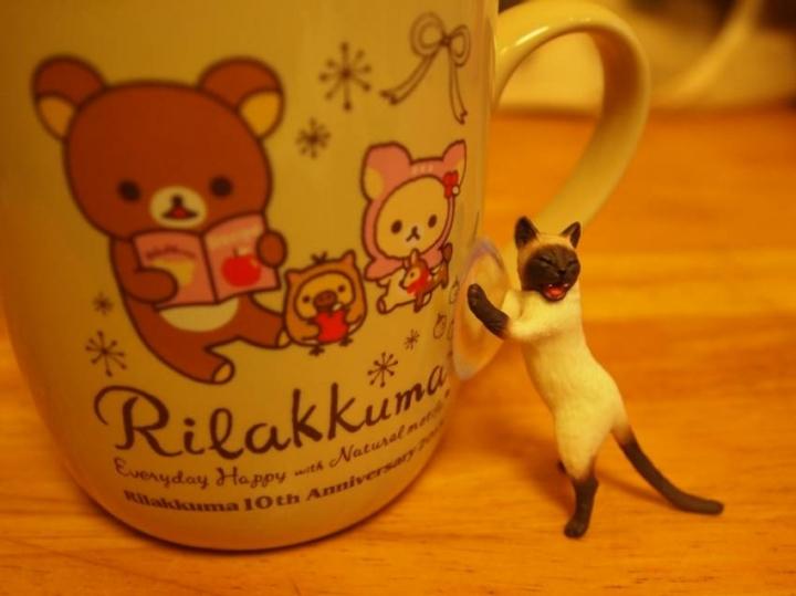 リラックマティーマグと例のガチャガチャ ニャラ ズさんの猫ブログ ネコジルシ