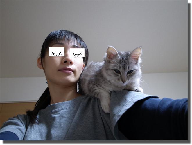 動画 飼主に飛びかかる猫 ユキシヴァさんの猫ブログ ネコジルシ