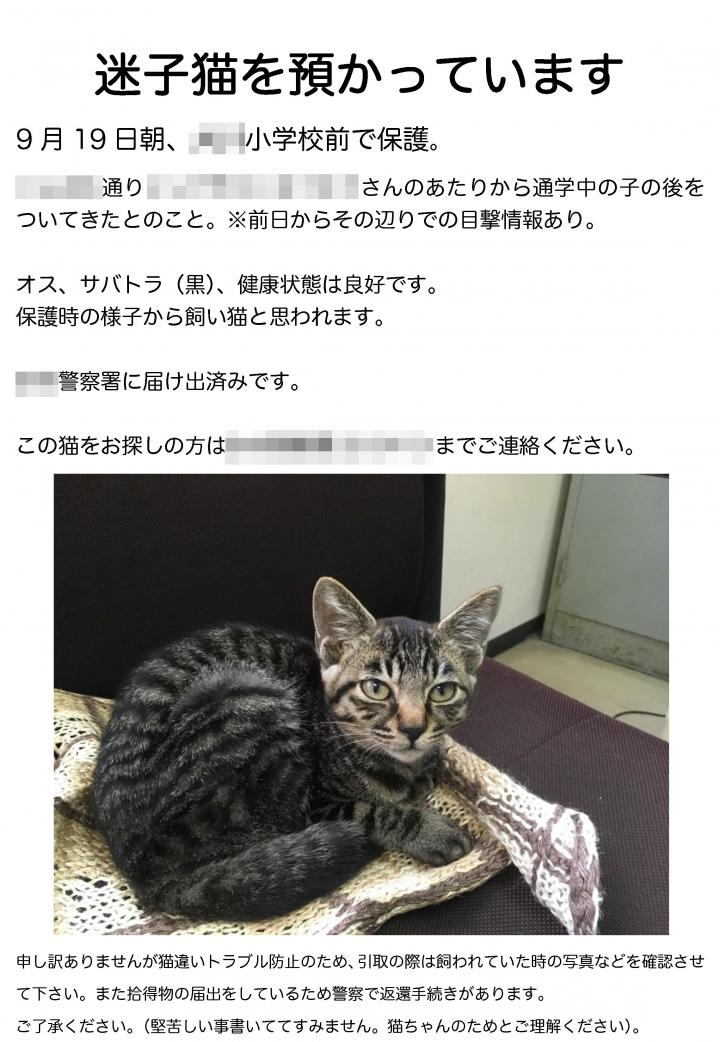 迷子猫預かり顛末録〜その４ - Tawa_kさんの猫日記