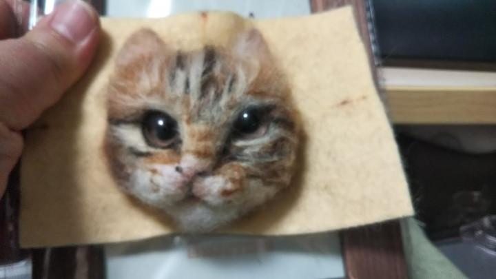 ロビンくん 虎太郎くん完成です Misakiさんの猫ブログ ネコジルシ