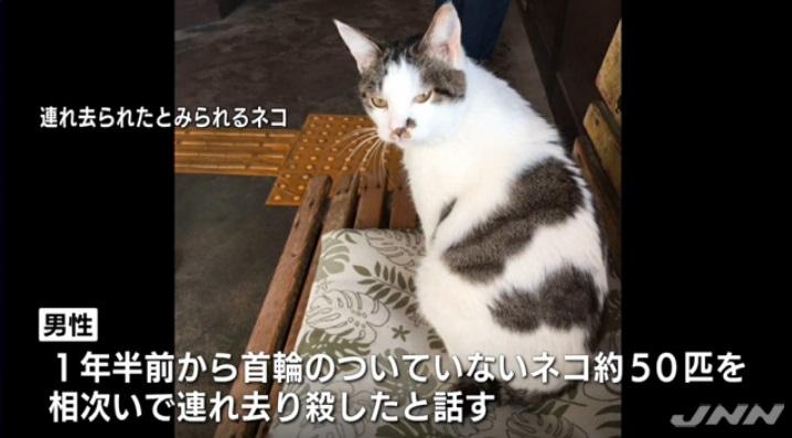 一人でも多く 嘆願書のお願い 猫50匹殺した男 セブンからプリアウト可能 Kiyoichiさんの猫ブログ ネコジルシ