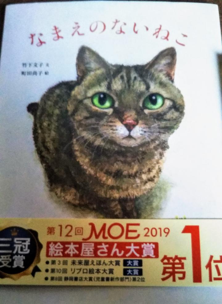 可哀想な子が幸せになる時 Kotehanaさんの猫ブログ ネコジルシ