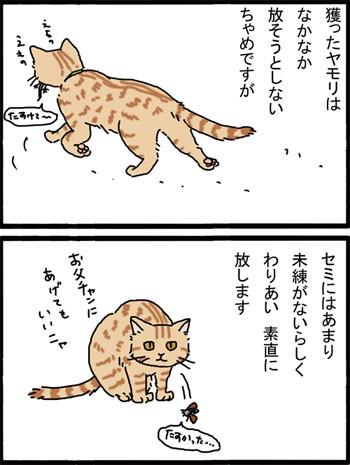 猫マンガ セミ食いの伝播 チナツさんの猫ブログ ネコジルシ