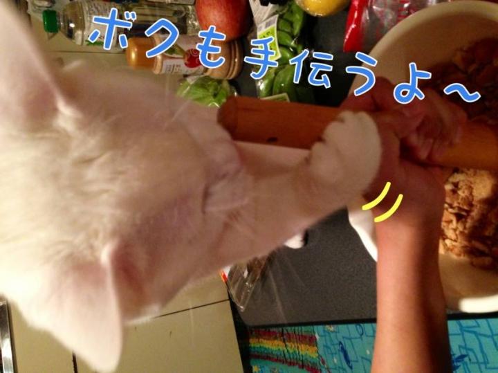 バレンタインを手伝う猫。 - みったんのママさんの猫日記