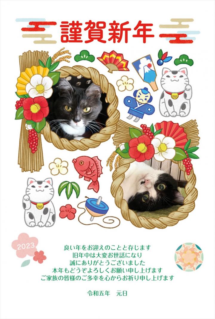 謹賀新年 - チャムりんさんの猫日記