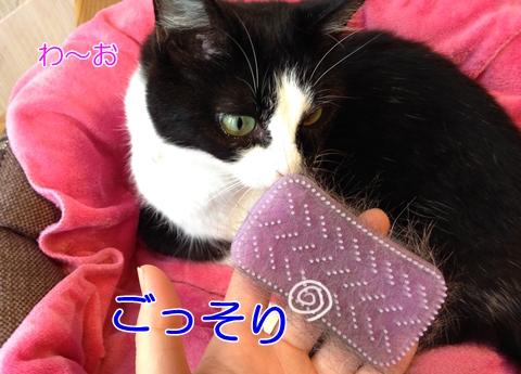 猫の抜け毛におすすめのシリコンブラシをゲット むすママさんの猫ブログ ネコジルシ