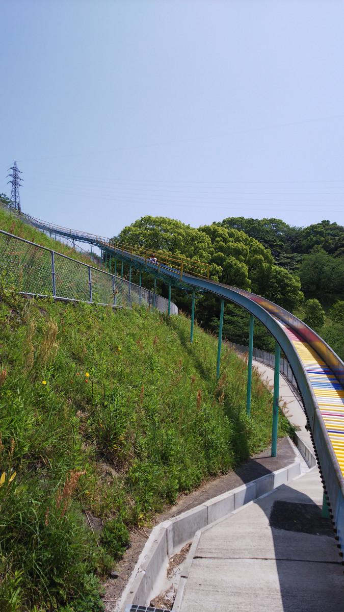 熊本の猫ちゃん ハルユウママさんの猫ブログ ネコジルシ