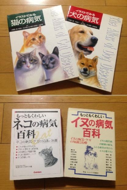 参考書で勉強です Nerunekoさんの猫ブログ ネコジルシ