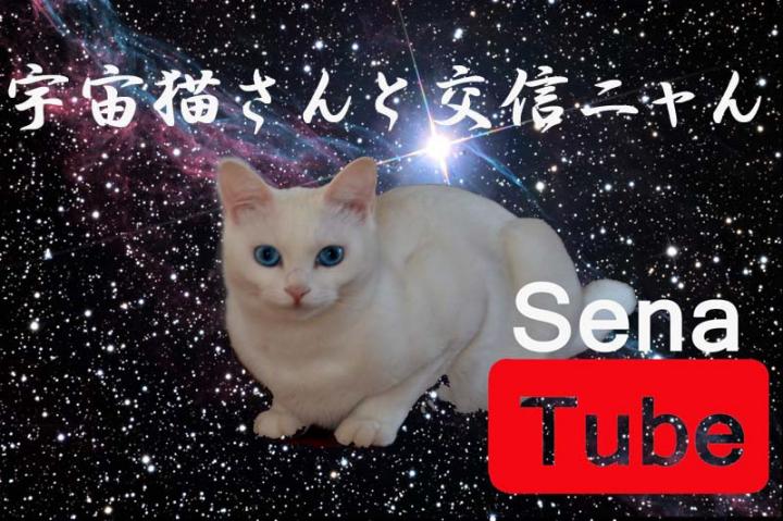 宇宙猫さんとの交信ニャン シモチャンさんの猫ブログ ネコジルシ