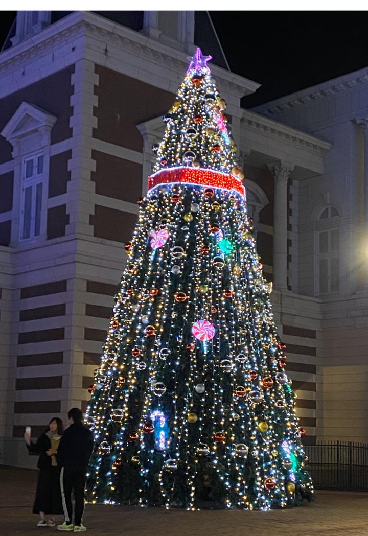 HTBでクリスマス - ぴんくちぇりーさんの猫ブログ - ネコジルシ