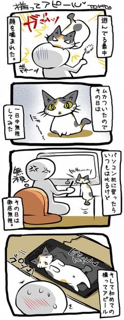 ねこ漫画 初めての構って Tomtoさんの猫ブログ ネコジルシ