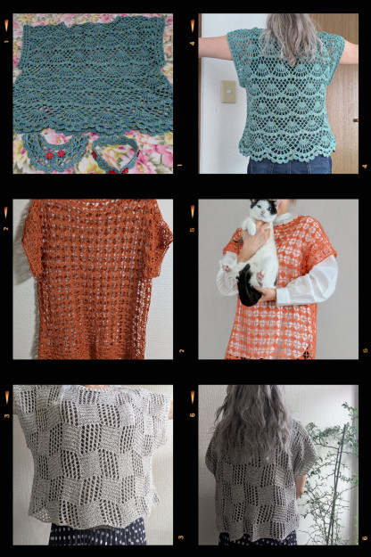 コメント442の画像