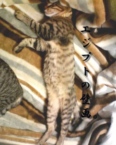 エジプトの壁画。 - かわいい猫写真u0026猫画像の投稿サイト - ネコジルシ