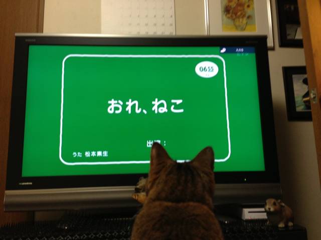 0655 かわいい猫写真 猫画像の投稿サイト ネコジルシ