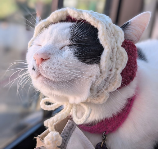 にっこり〜太陽とにらめっこ〜