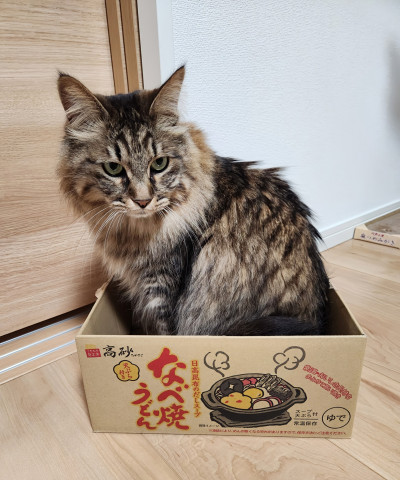 東北限定🐱にゃべ焼きうどん