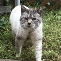 ねむりうさぎさん