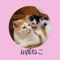 Withねこさん