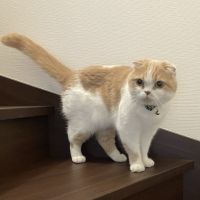 むぎたろーさん