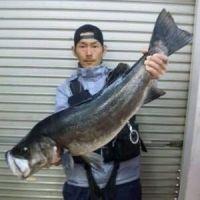 マグロ屋かつんさん