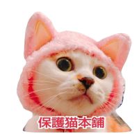 保護猫本舗さん