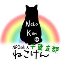 ねこけん千葉支部さん