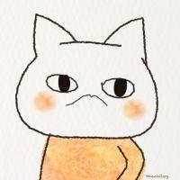 猫井ナツミさん