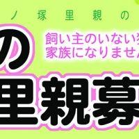 竹の塚里親の会さん