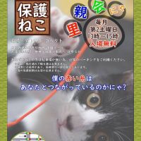 さのねこの会さん