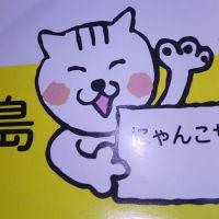 にゃんこサポート三島さん