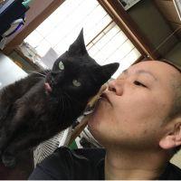 ナッシーと愉快な猫達さん