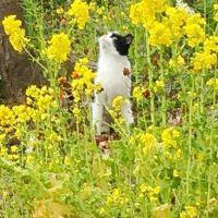 動物と共生　Tさん