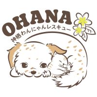 神栖わんにゃんレスキューOHANAさん