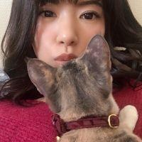 ぽーにゃんさん