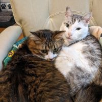 ビリー&マーク 会員画像