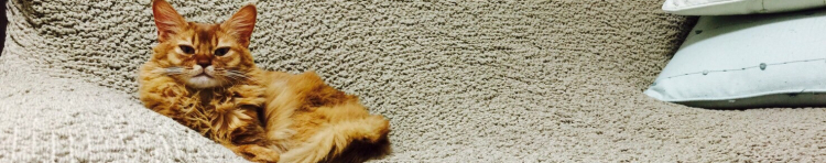 なお@ととろちょこさんのホーム