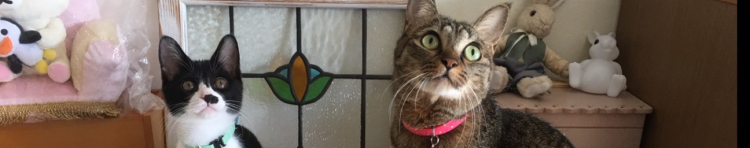 ヨコシャンさんのホーム