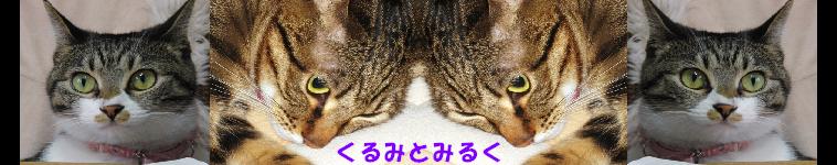くるみるくさんのホーム