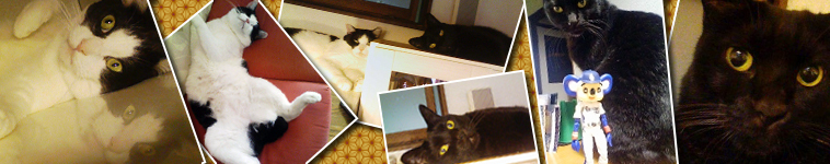 u_160さんのホーム