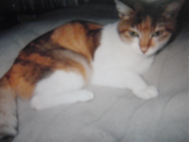 ひむろさんのホーム