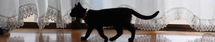 ゆり37さんのホーム