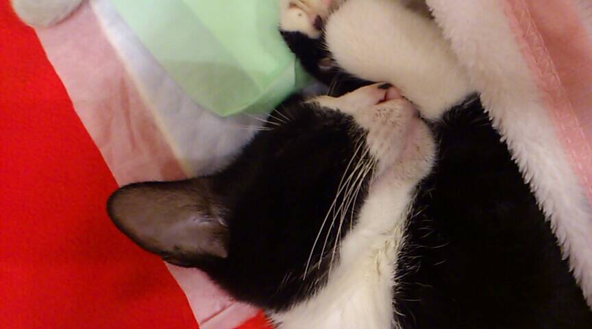 さおりんさんのホーム