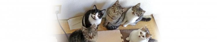 Bさんさんのホーム