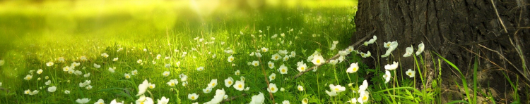 ハッピー神無月さんのホーム